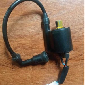 Ignition coil assy