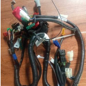 Wiring harness (Bajaj)