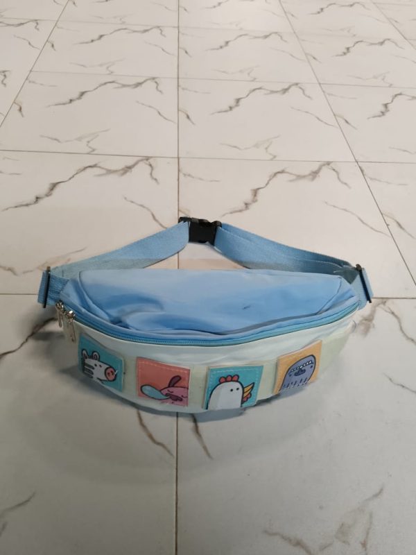 Waist Bags/Fanny Pack Bags